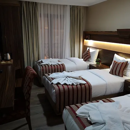 فندق Vision Deluxe 3*