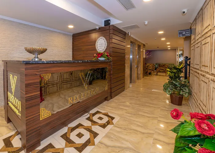 호텔 Vision Deluxe 3*