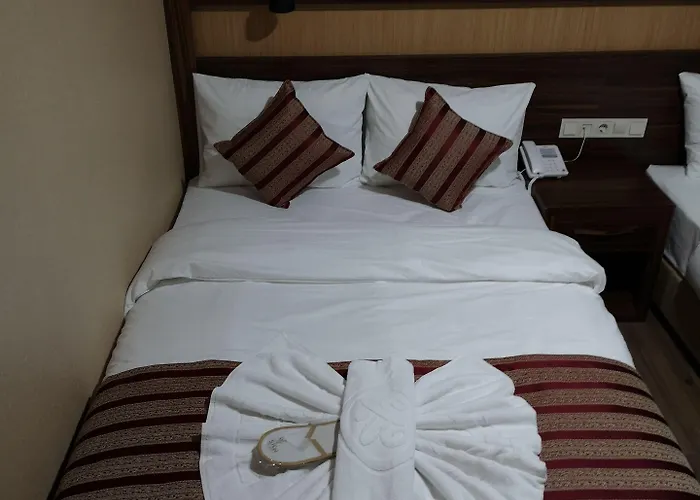 Vision Deluxe 호텔 3*