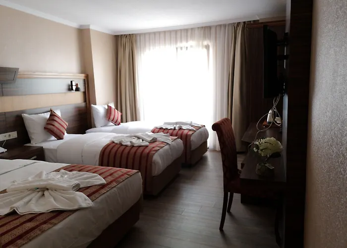 호텔 Vision Deluxe 3*