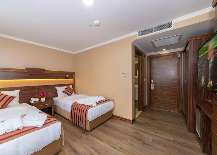 Vision Deluxe 호텔