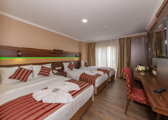 Vision Deluxe 호텔 3*