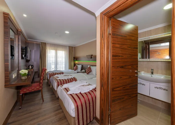 Vision Deluxe 호텔 3*