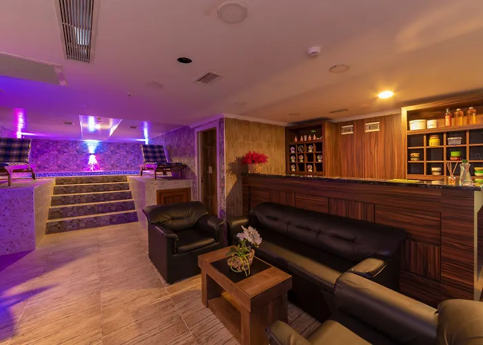 호텔 Vision Deluxe 3*