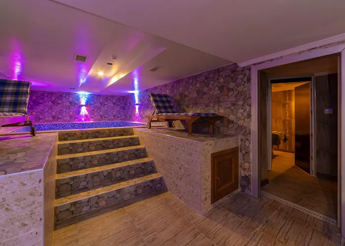 호텔 Vision Deluxe 3*