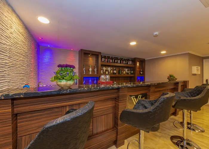 Vision Deluxe 호텔 이스탄불