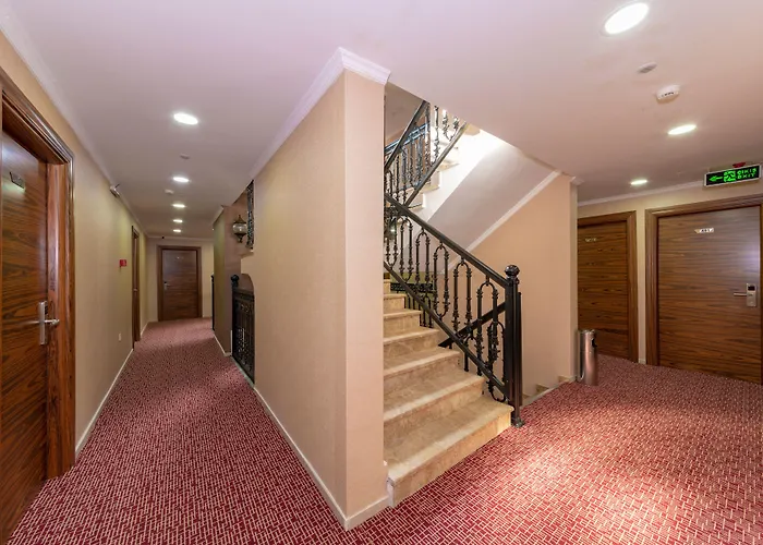 호텔 Vision Deluxe 3*