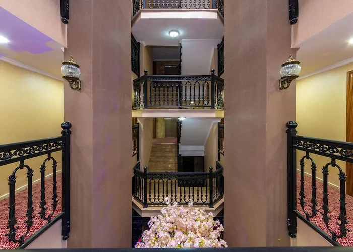 호텔 Vision Deluxe 3*