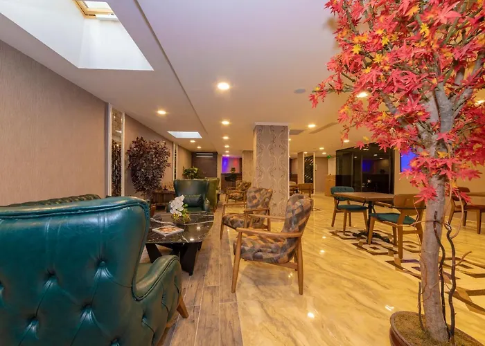 Vision Deluxe 호텔