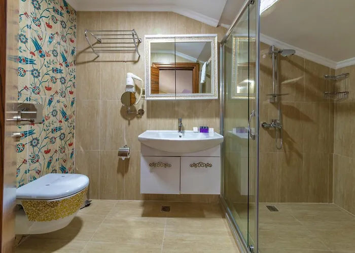 Vision Deluxe 3* 이스탄불