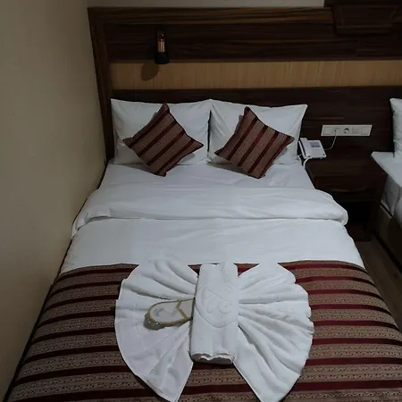 Vision Deluxe Hotel 3*