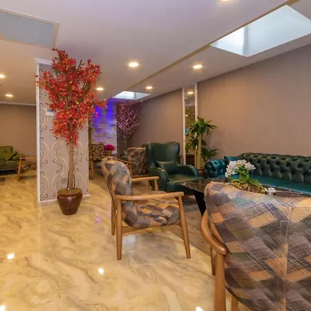 Hotel Vision Deluxe