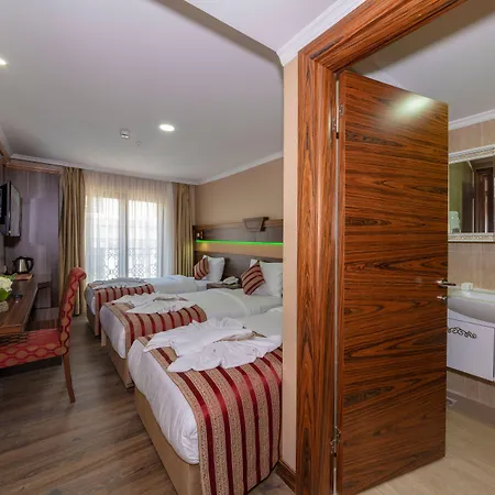 Vision Deluxe Hotel 3*